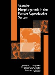 Vascular Morphogenesis in the Female Reproductive System