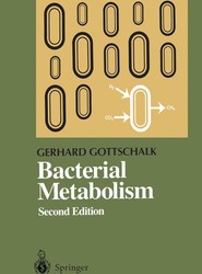 Bacterial Metabolism