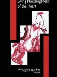 Living Morphogenesis of the Heart