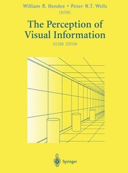 The Perception of Visual Information
