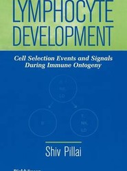 Lymphocyte Development