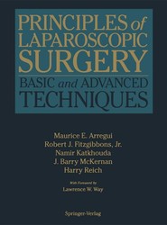 Principles of Laparoscopic Surgery