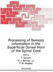 Processing of Sensory Information in the Superficial Dorsal Horn of the Spinal Cord