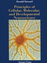 Principles of Cellular, Molecular, and Developmental Neuroscience