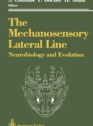 The Mechanosensory Lateral Line