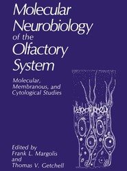 Molecular Neurobiology of the Olfactory System