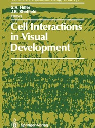 Cell Interactions in Visual Development