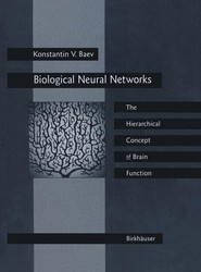 Biological Neural Networks: Hierarchical Concept of Brain Function
