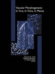 Vascular Morphogenesis: In Vivo, In Vitro, In Mente