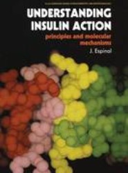 Understanding Insulin Action