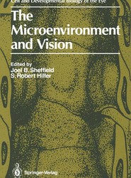 The Microenvironment and Vision