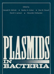 Plasmids in Bacteria