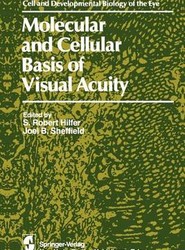 Molecular and Cellular Basis of Visual Acuity