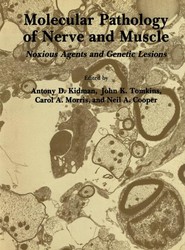 Molecular Pathology of Nerve and Muscle