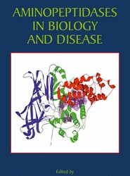 Aminopeptidases in Biology and Disease
