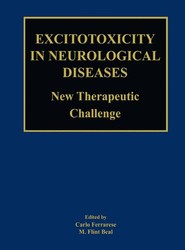 Excitotoxicity in Neurological Diseases