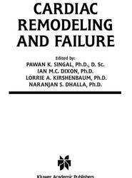 Cardiac Remodeling and Failure