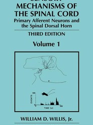 Sensory Mechanisms of the Spinal Cord