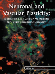 Neuronal and Vascular Plasticity