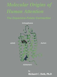 Molecular Origins of Human Attention