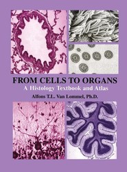 From Cells to Organs