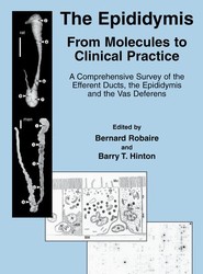 The Epididymis: From Molecules to Clinical Practice
