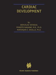 Cardiac Development