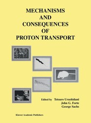 Mechanisms and Consequences of Proton Transport