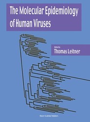 The Molecular Epidemiology of Human Viruses
