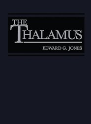 The Thalamus