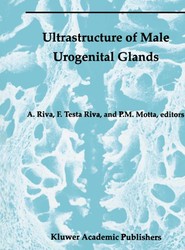 Ultrastructure of the Male Urogenital Glands