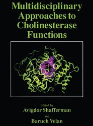 Multidisciplinary Approaches to Cholinesterase Functions