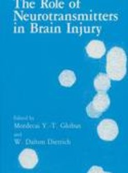 The Role of Neurotransmitters in Brain Injury