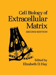Cell Biology of Extracellular Matrix