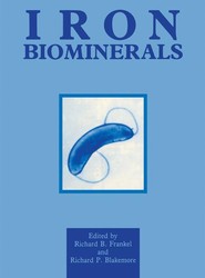 Iron Biominerals