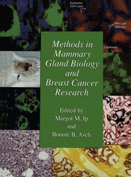 Methods in Mammary Gland Biology and Breast Cancer Research