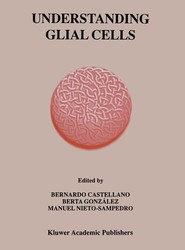 Understanding Glial Cells