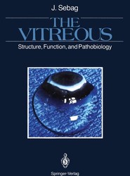 The Vitreous