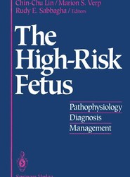 The High-Risk Fetus