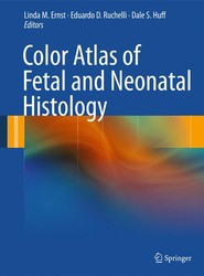 Color Atlas of Fetal and Neonatal Histology