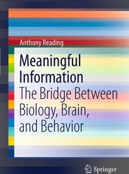 Meaningful Information