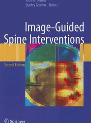 Image-Guided Spine Interventions