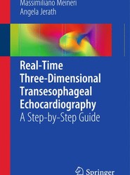 Real-Time Three-Dimensional Transesophageal Echocardiography
