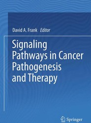 Signaling Pathways in Cancer Pathogenesis and Therapy