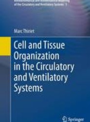 Cell and Tissue Organization in the Circulatory and Ventilatory Systems