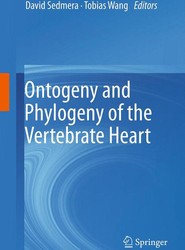 Ontogeny and Phylogeny of the Vertebrate Heart