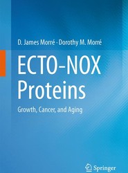 ECTO-NOX Proteins