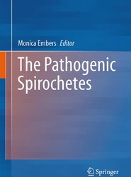 The Pathogenic Spirochetes: strategies for evasion of host immunity and persistence