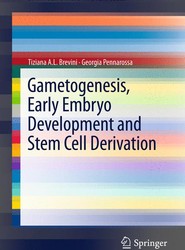 Gametogenesis, Early Embryo Development and Stem Cell Derivation