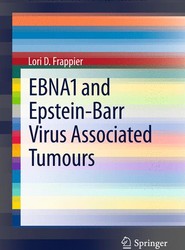 EBNA1 and Epstein-Barr Virus Associated Tumours